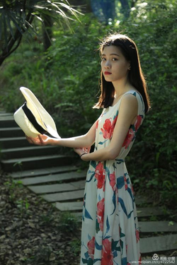 打扑克视频免费动漫下载热门资源